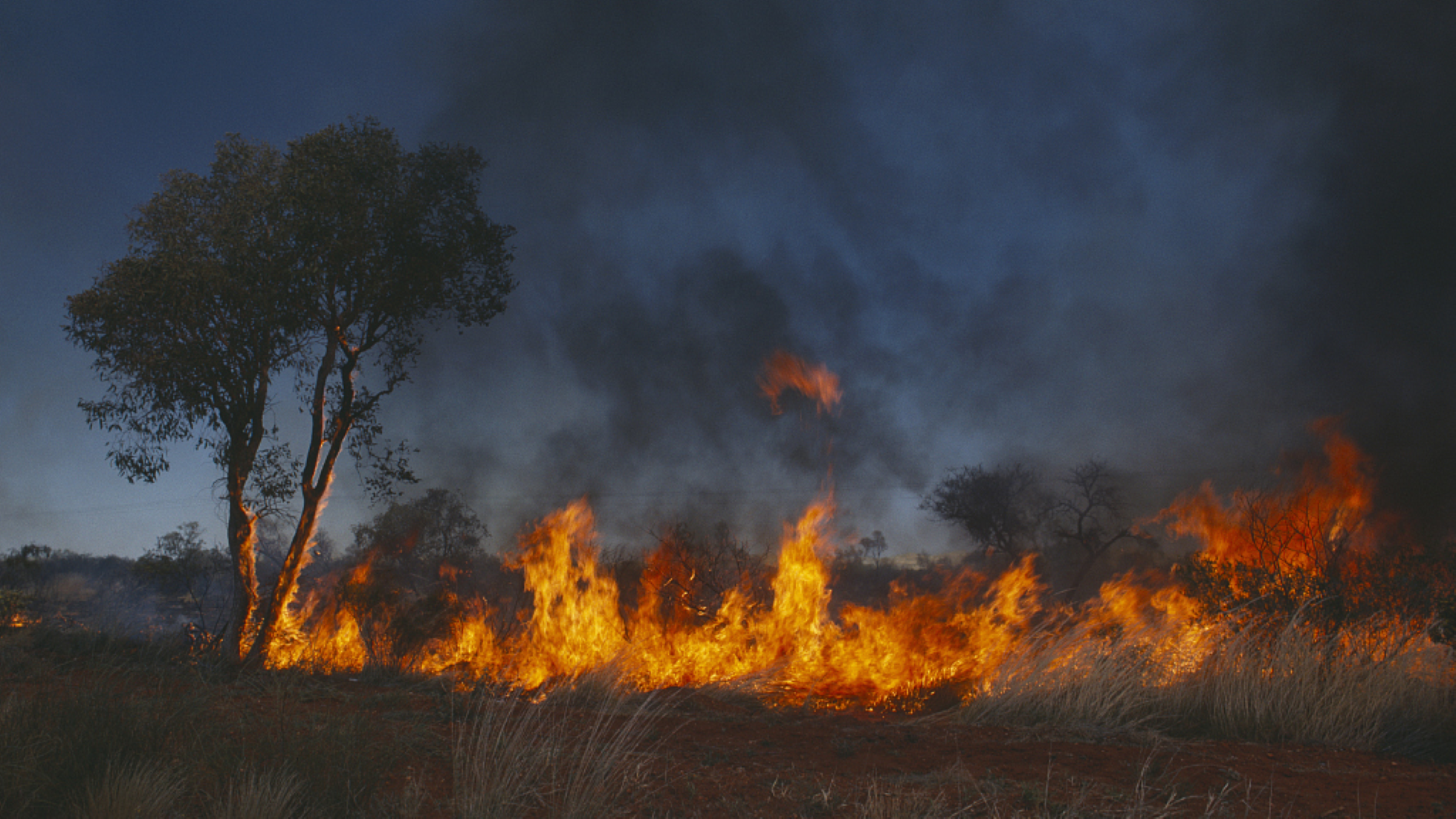 Over 75 Wildfires Scorch Australia’s New South Wales As Heat, Gusty Winds Return