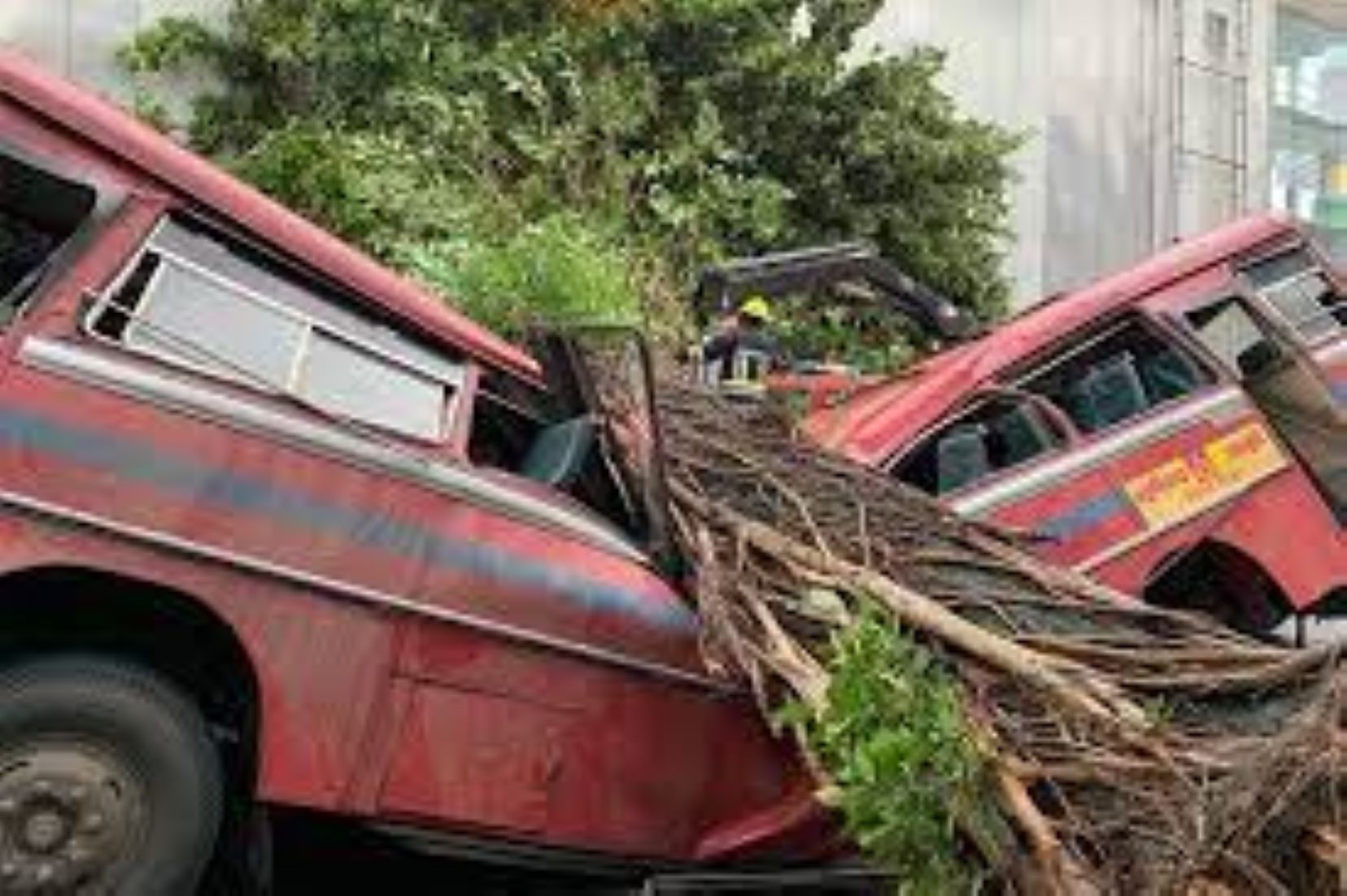 Five Killed In Sri Lanka When Tree Fell On Bus