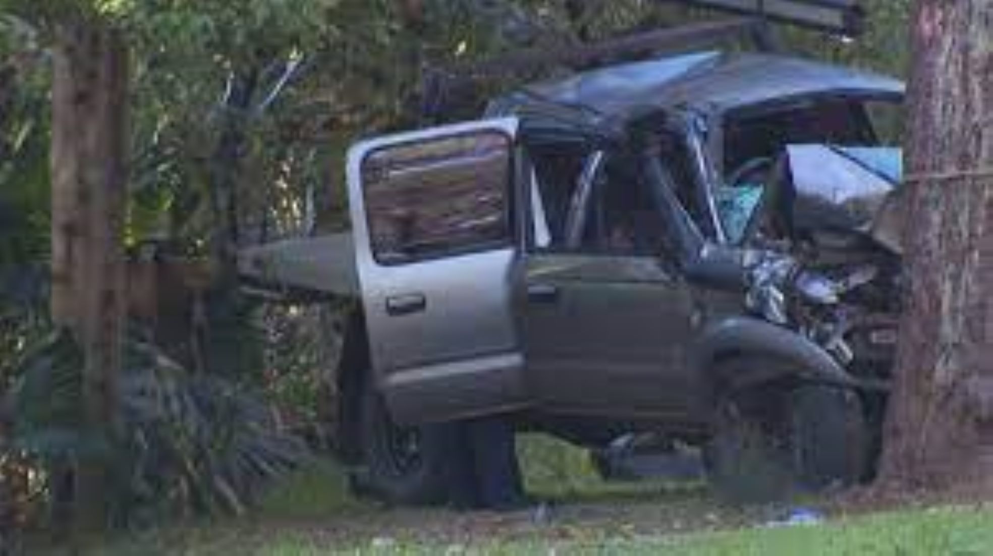 Teen Dies, Five Others Injured After Pickup Truck Hits Tree In Sydney