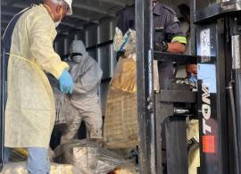 South Africa: Drugs worth R800 million destroyed in Gauteng police operation