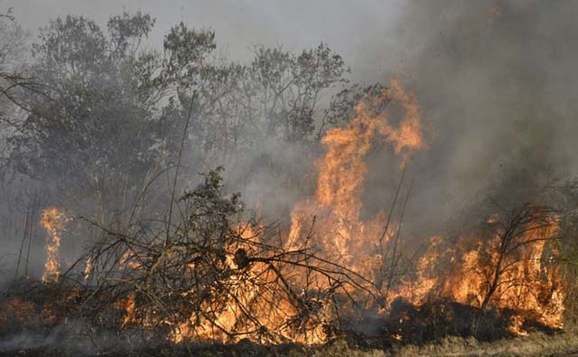 Bolivia forest fires shutter thousands of schools