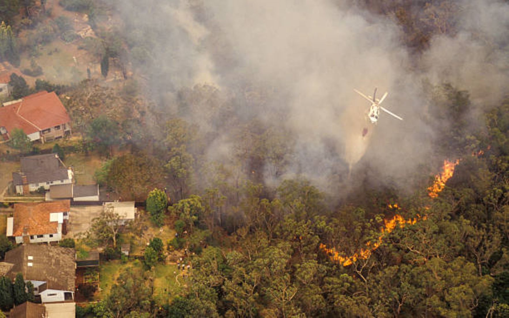 Bushfires Destroy 85 Structures In Australia’s Queensland