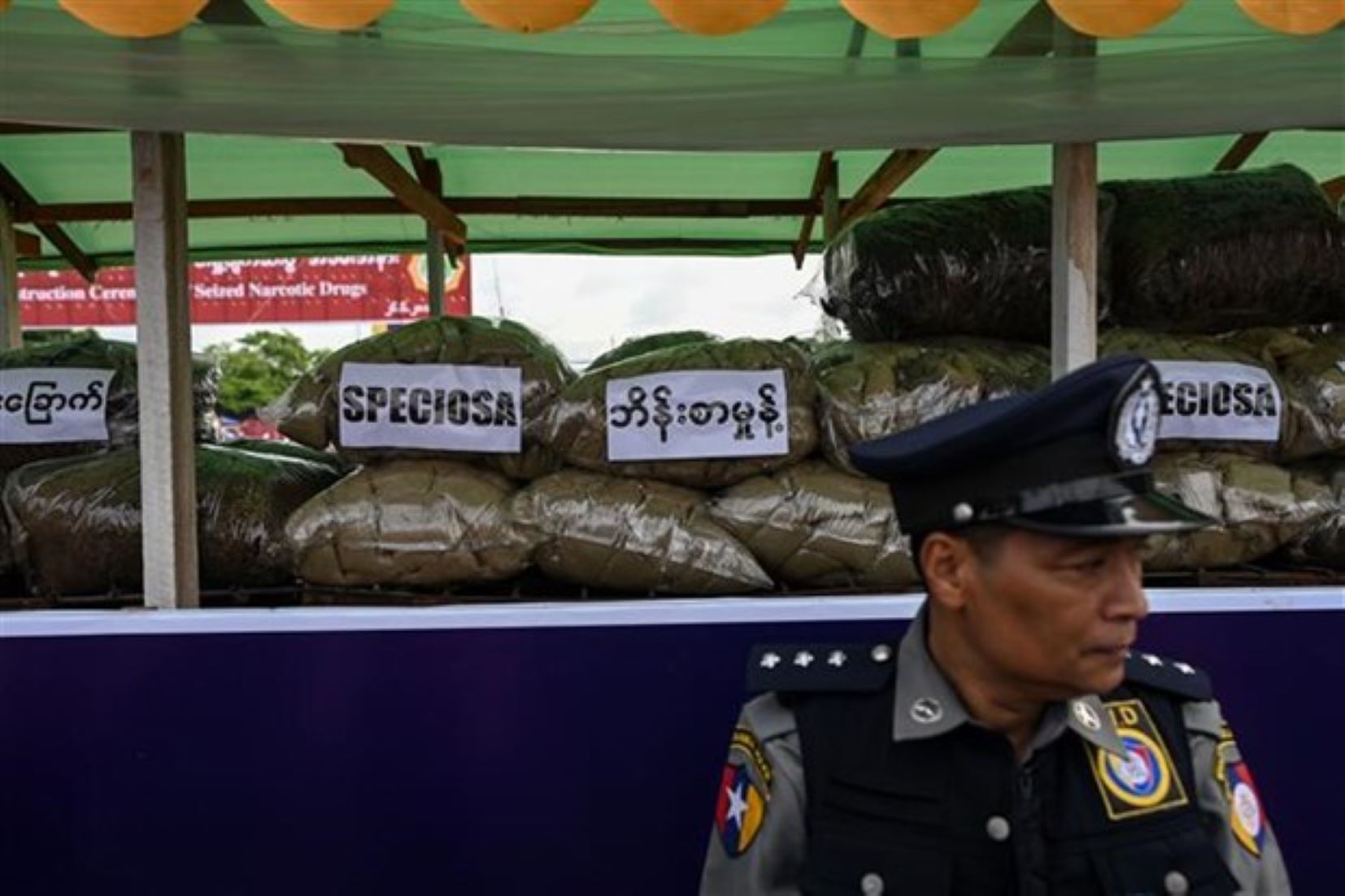 Myanmar’s Police Seized Drugs Worth Over 381 Million USD