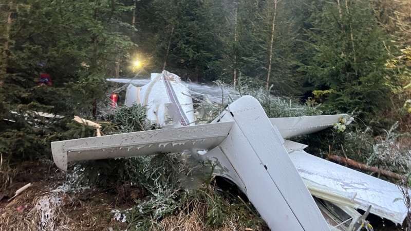 Small plane crash in Austria kills 4