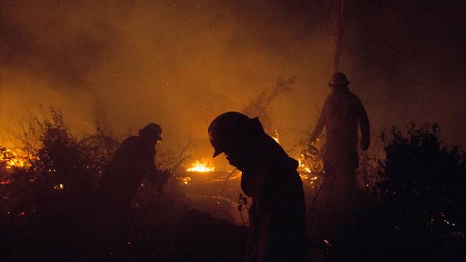 Forest fires rage in three of Bolivia’s nine departments