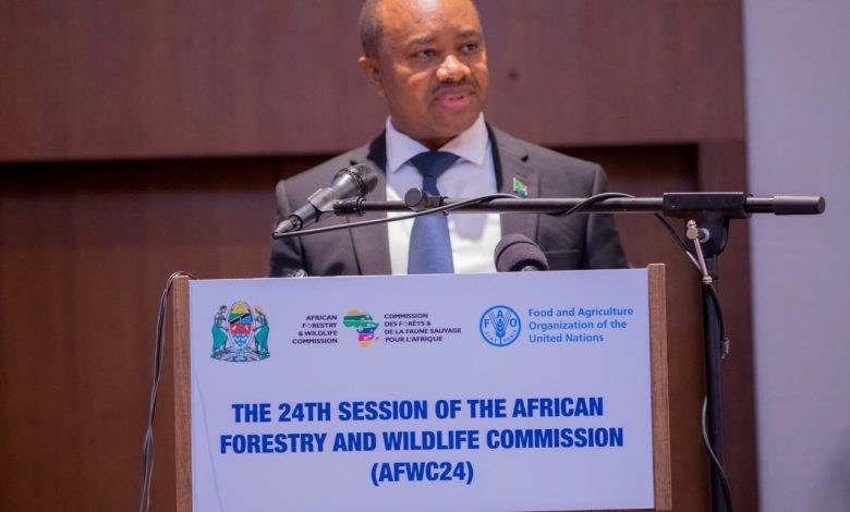 Tanzania chairs African Wildlife Commission