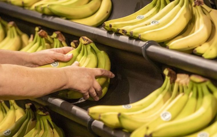 Paraguayan and Bolivian bananas return to Argentina