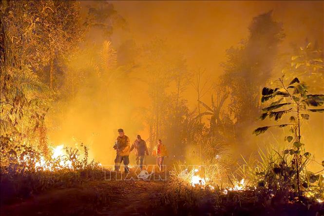 Bolivia: Forest fires burned 3 million hectares of forest land