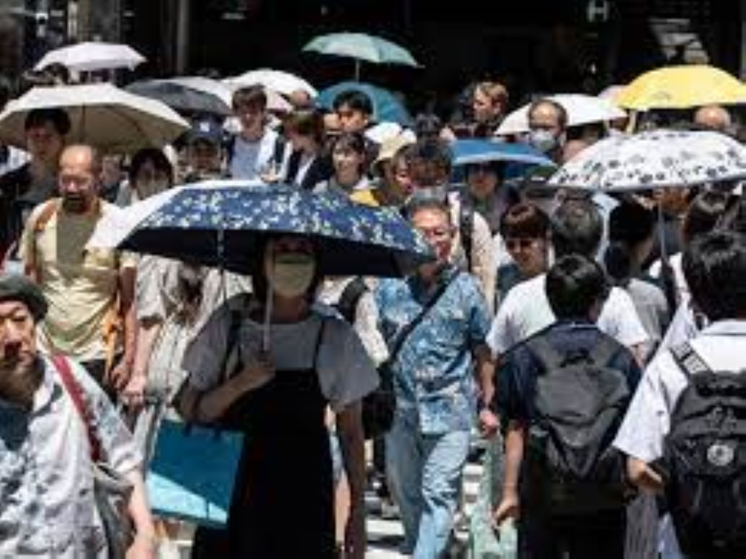 East Japan Sees Record High Autumn Temperatures