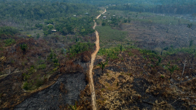 Deforestation in Brazilian Amazon down 22% in a year