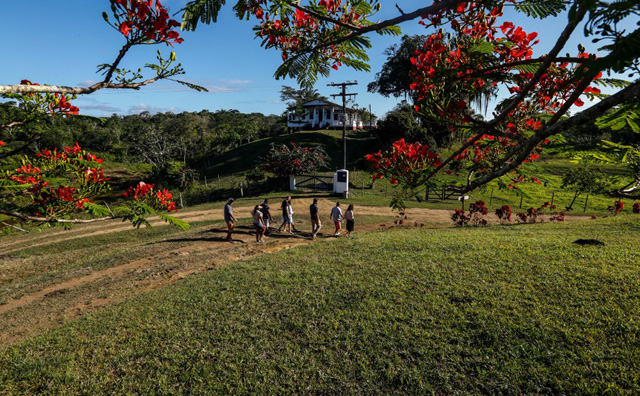 Brazil to unveil plan to increase farmland by 60%