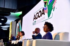 Africa has products for the global market: South African minister