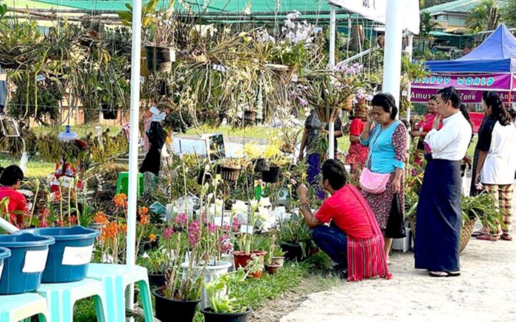 Myanmar To Hold Horticulture Exhibition To Commemorate 76th Anniversary Of Independence Day