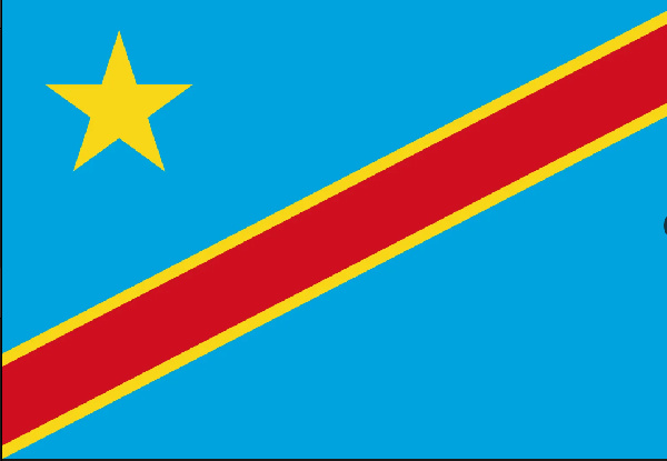 DR Congo regrets EU cancellation of poll observer mission