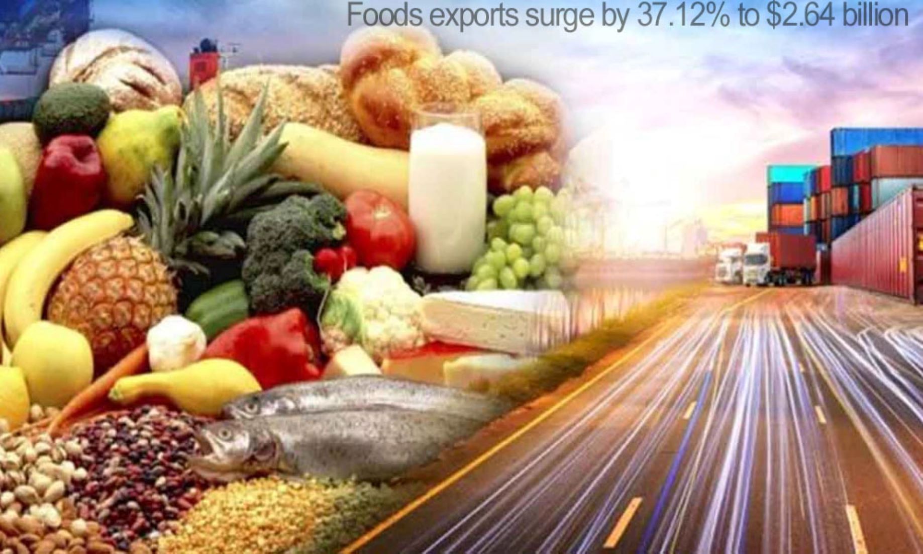 Pakistan’s Food Exports Increase By 37 Percent In First Five Months Of FY 24