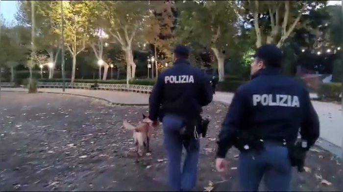 Forty people arrested in Italy in an operation against youth gangs