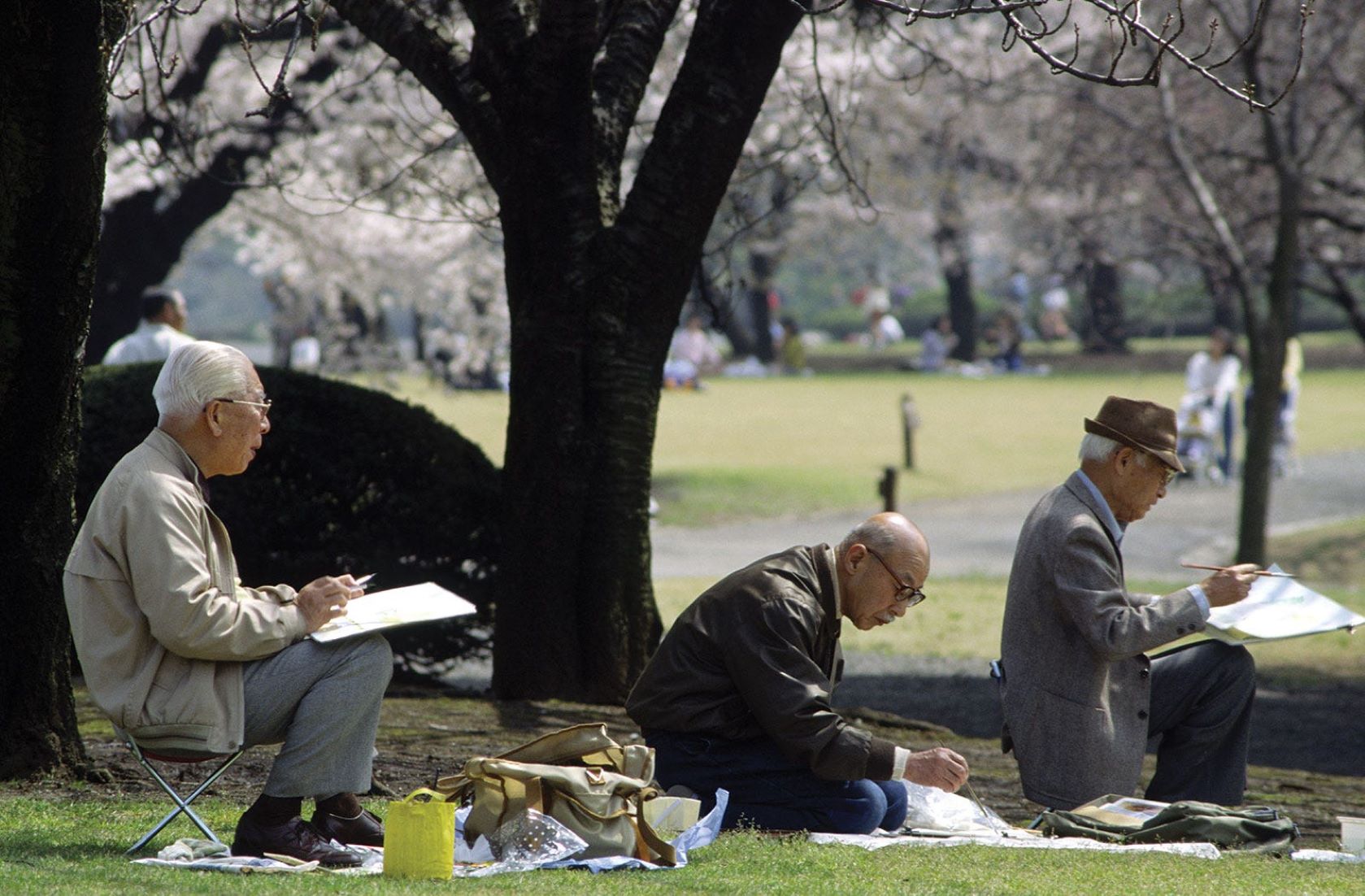 Japan Forecasts Elderly Majority In 25 Prefectures By 2050