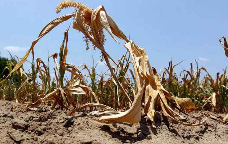 Chilean gov’t extends agricultural emergency