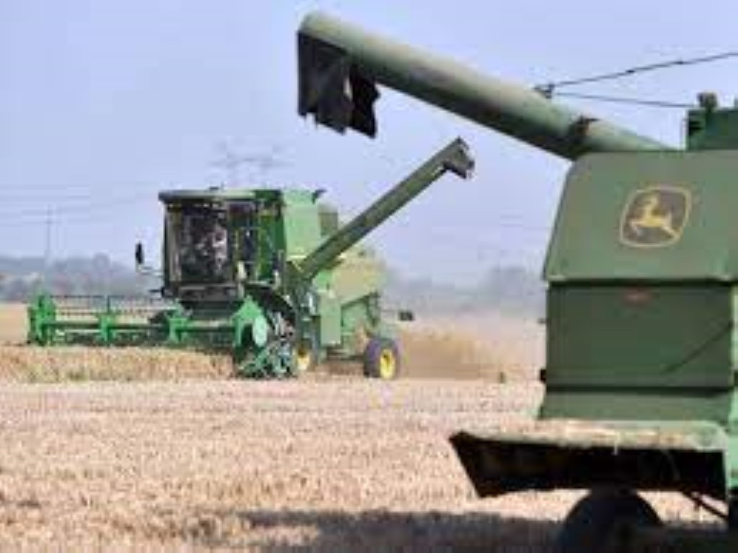 Ukraine Upgrades Grain Harvest Forecast Due To Record Yield