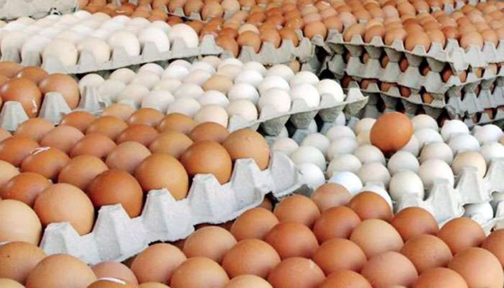 Sri Lanka To Continue Importing Eggs To Meet Demand During Festive Season