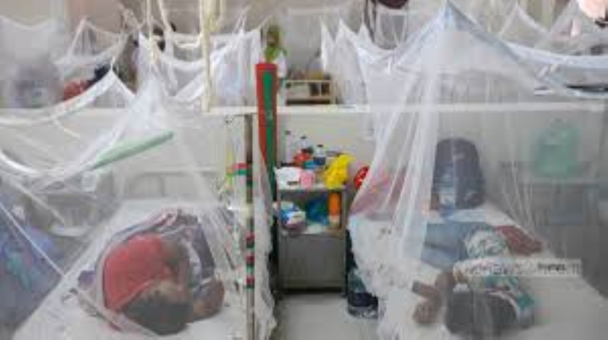 Dengue Claims More Than 1,700 Lives In Bangladesh This Year