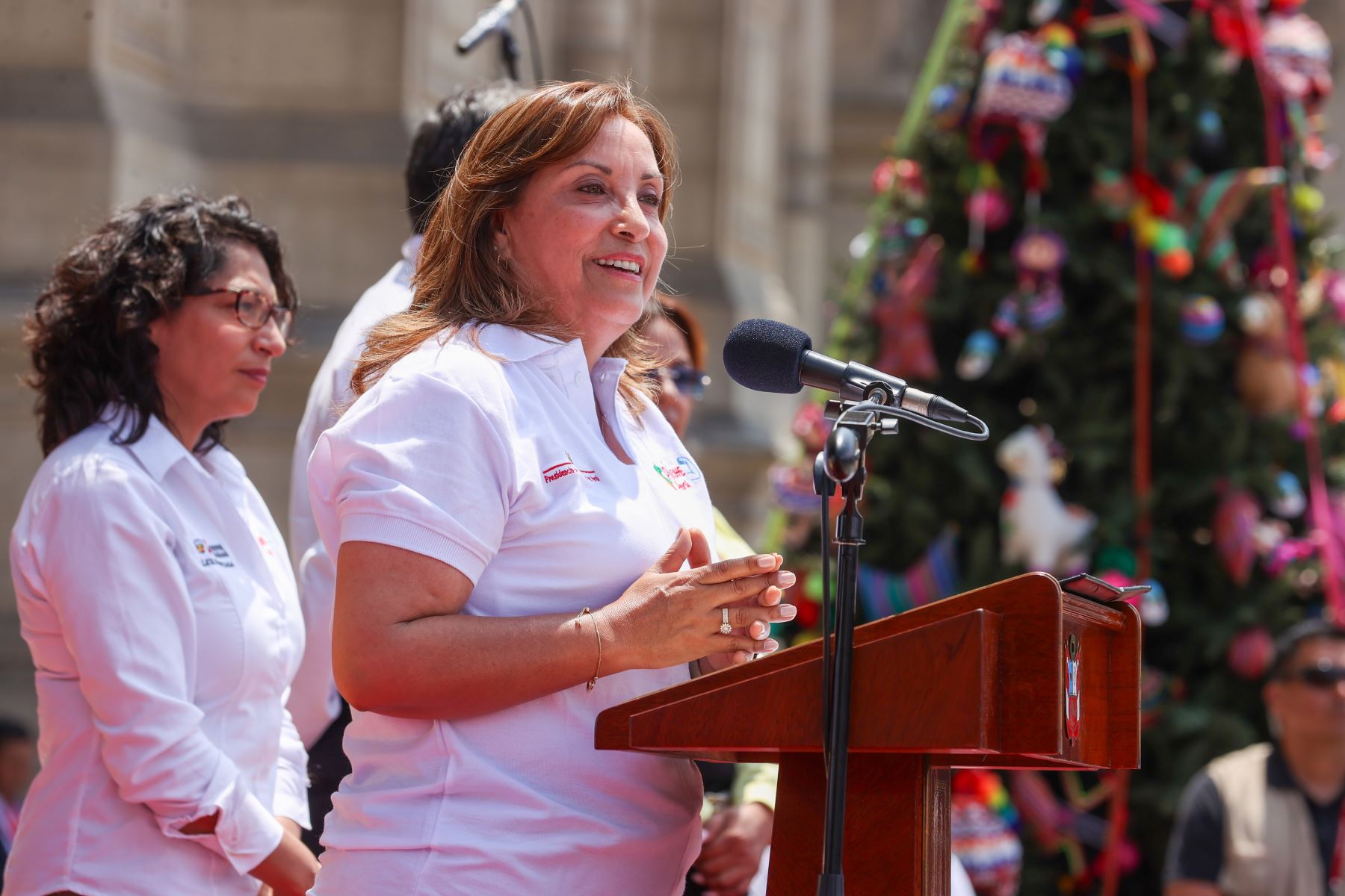 Peru: President Boluarte calls for dialogue with all society sectors