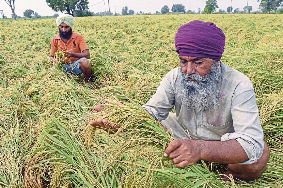 Global food prices drop 13.7pct in 2023: FAO