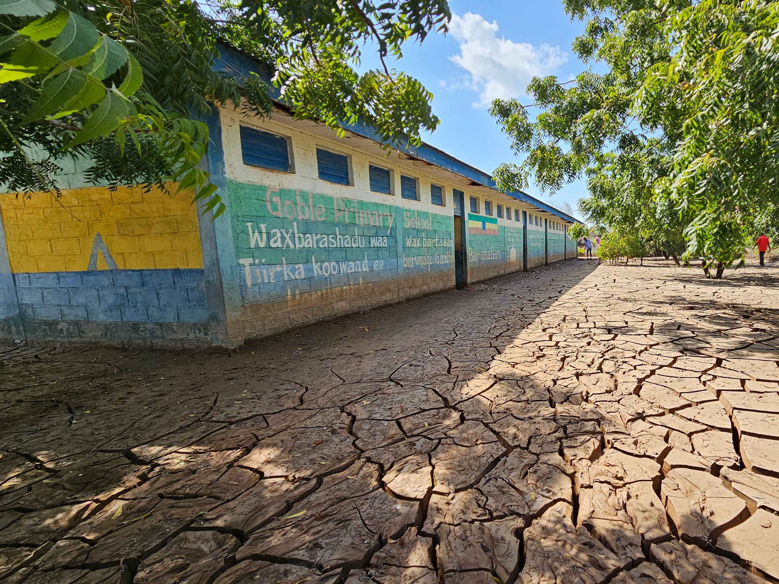 UN voices concern over four drought-affected northern regions of Ethiopia