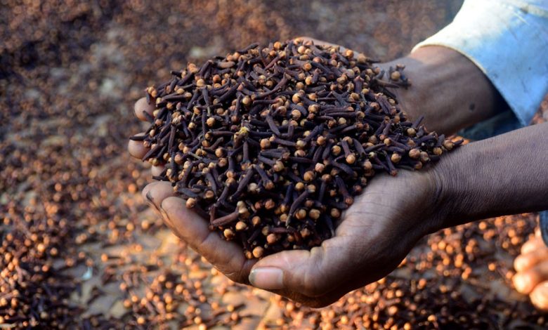 Tanzania: Pres Samia uplifts cloves growers