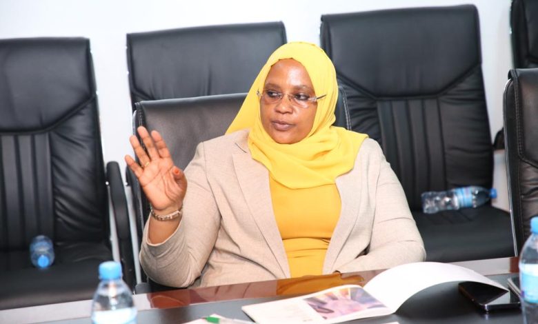 Tanzania: Industrial Park project set to revitalize economy – Industry Minister