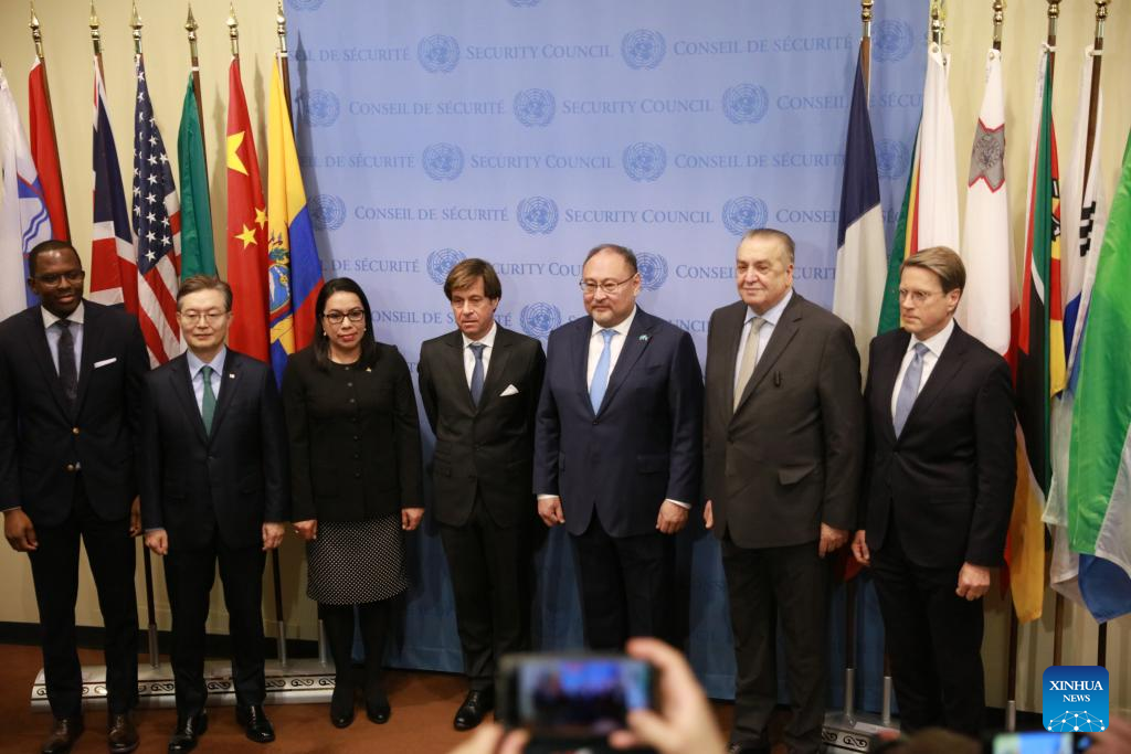 Five countries assume responsibilities as elected members of UN Security Council