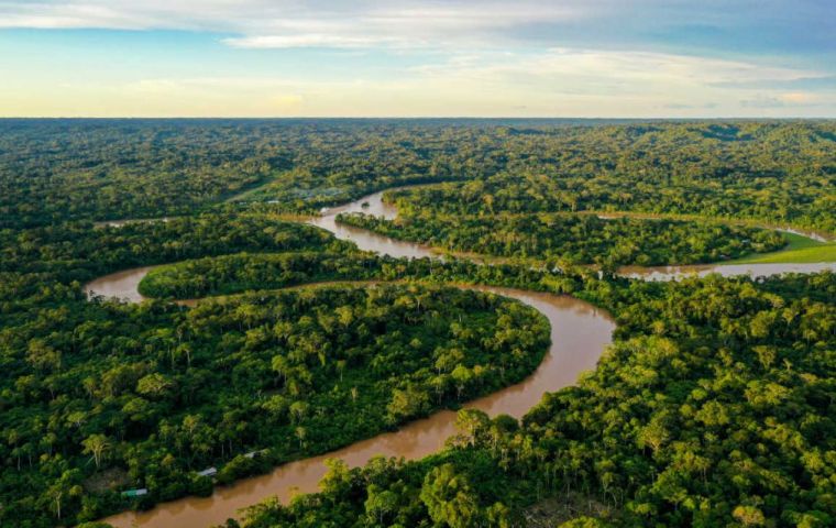 Brazil: Significant drop in Amazon deforestation reported