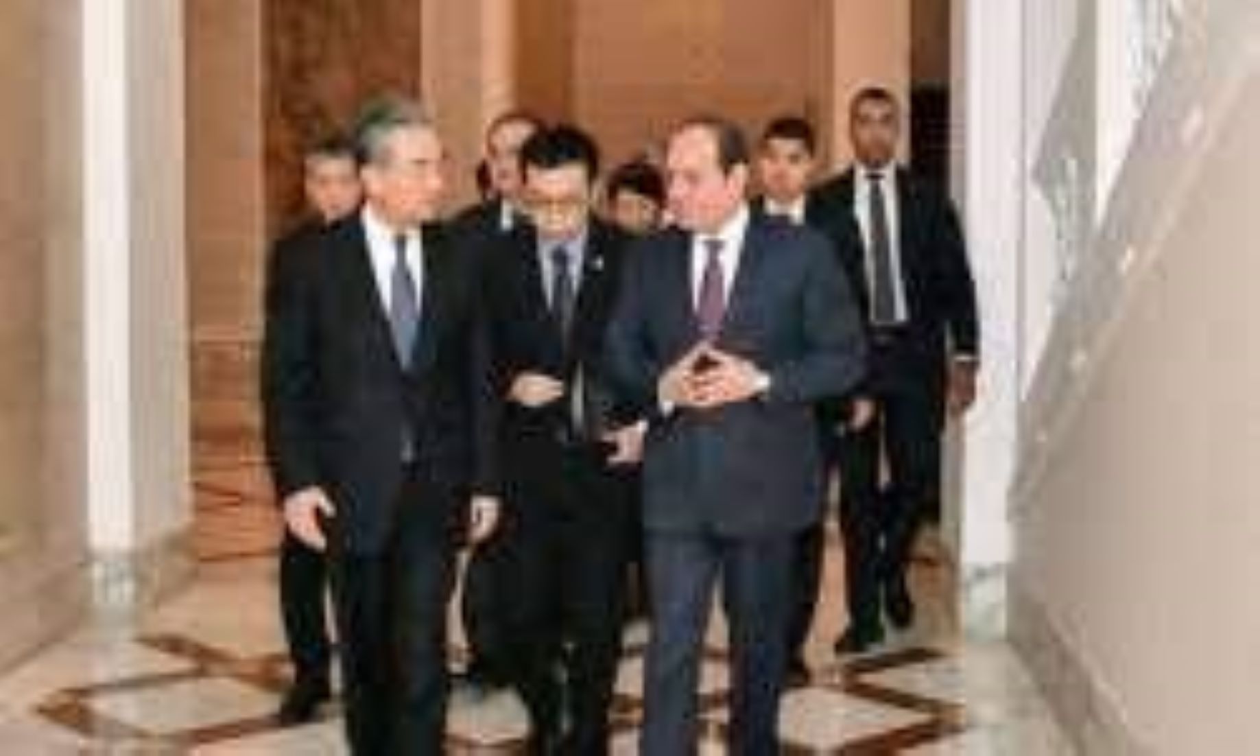 Egyptian President, Chinese FM Discuss Bilateral Ties, Gaza Conflict