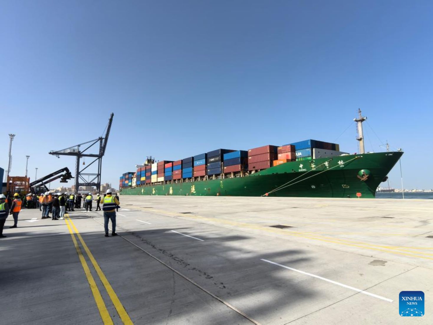 Alexandria Container Terminal Starts Operation In Egypt