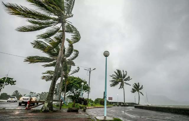 Update: Mauritius mopping up after storm Belal wreaks havoc