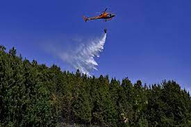 Over 17,000 hectares destroyed in Colombia forest fires