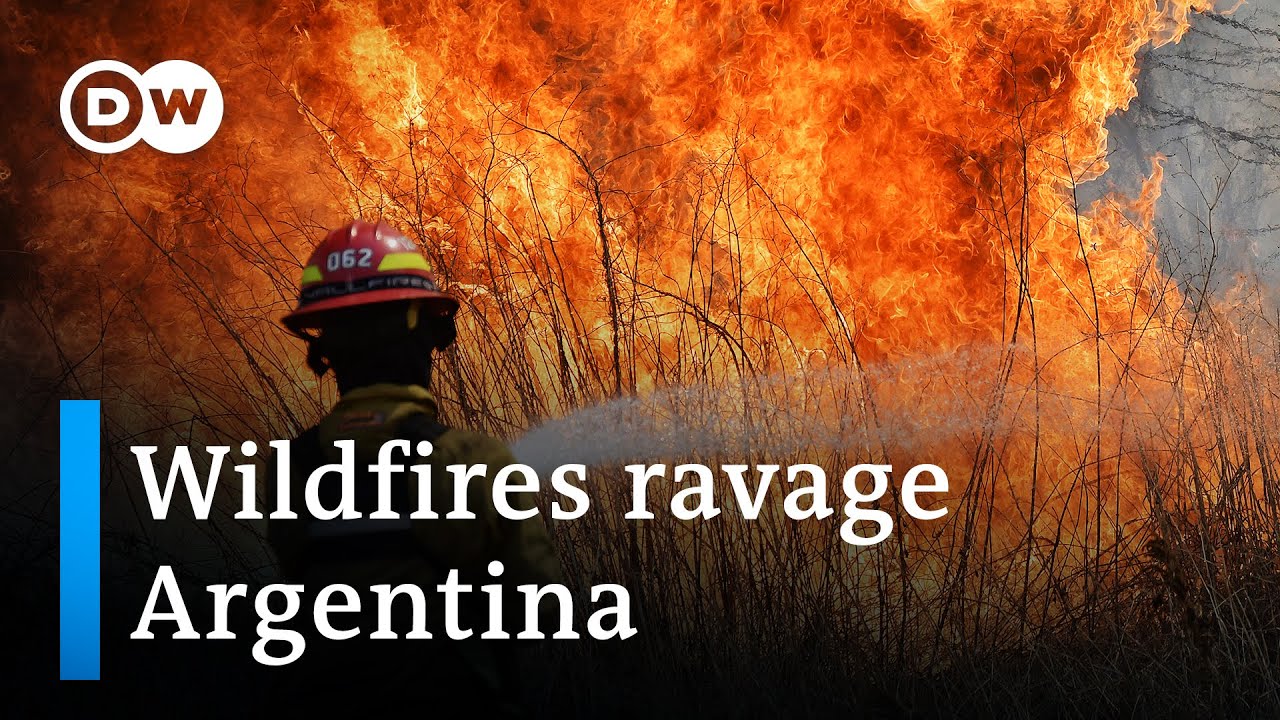 Wildfire ravages Argentina’s national park