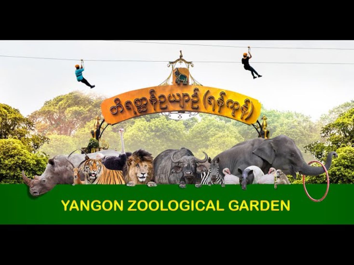 Oldest Zoo In Myanmar Celebrates 118th Anniversary