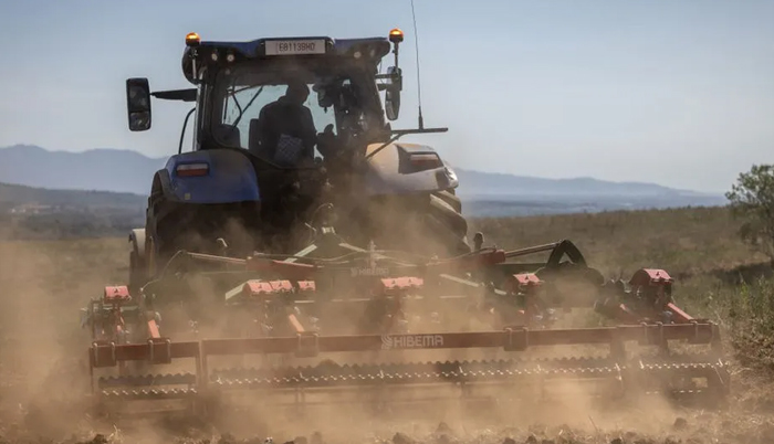 Spain: State of emergency declared as Catalonia:Region faces worst ever drought