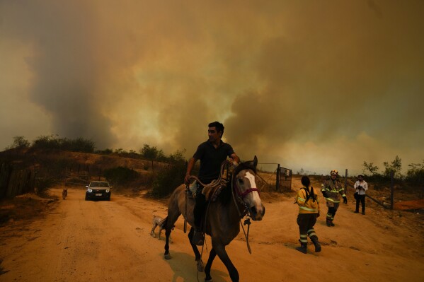 At least 46 reported dead in Chile as forest fires move into densely populated central areas