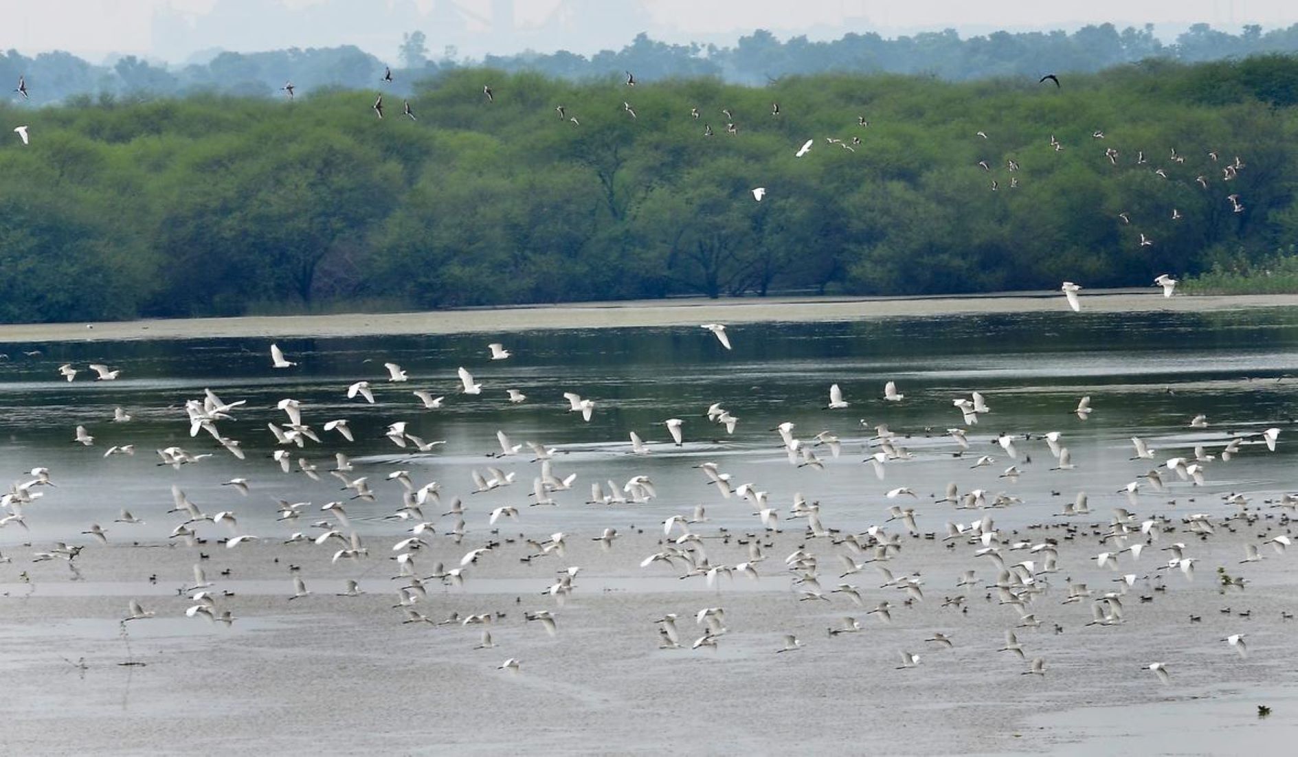 India Adds Five New Wetlands To Ramsar List, Taking Tally To 80