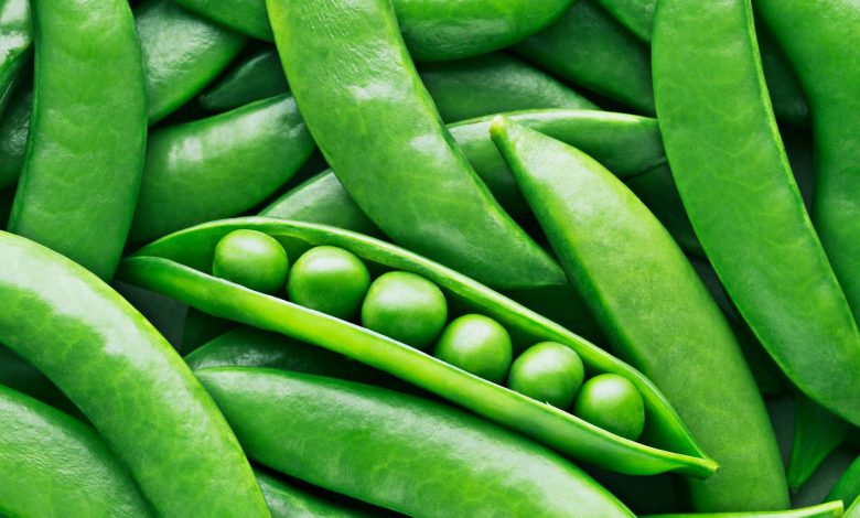 Tanzania starts exporting peas to India