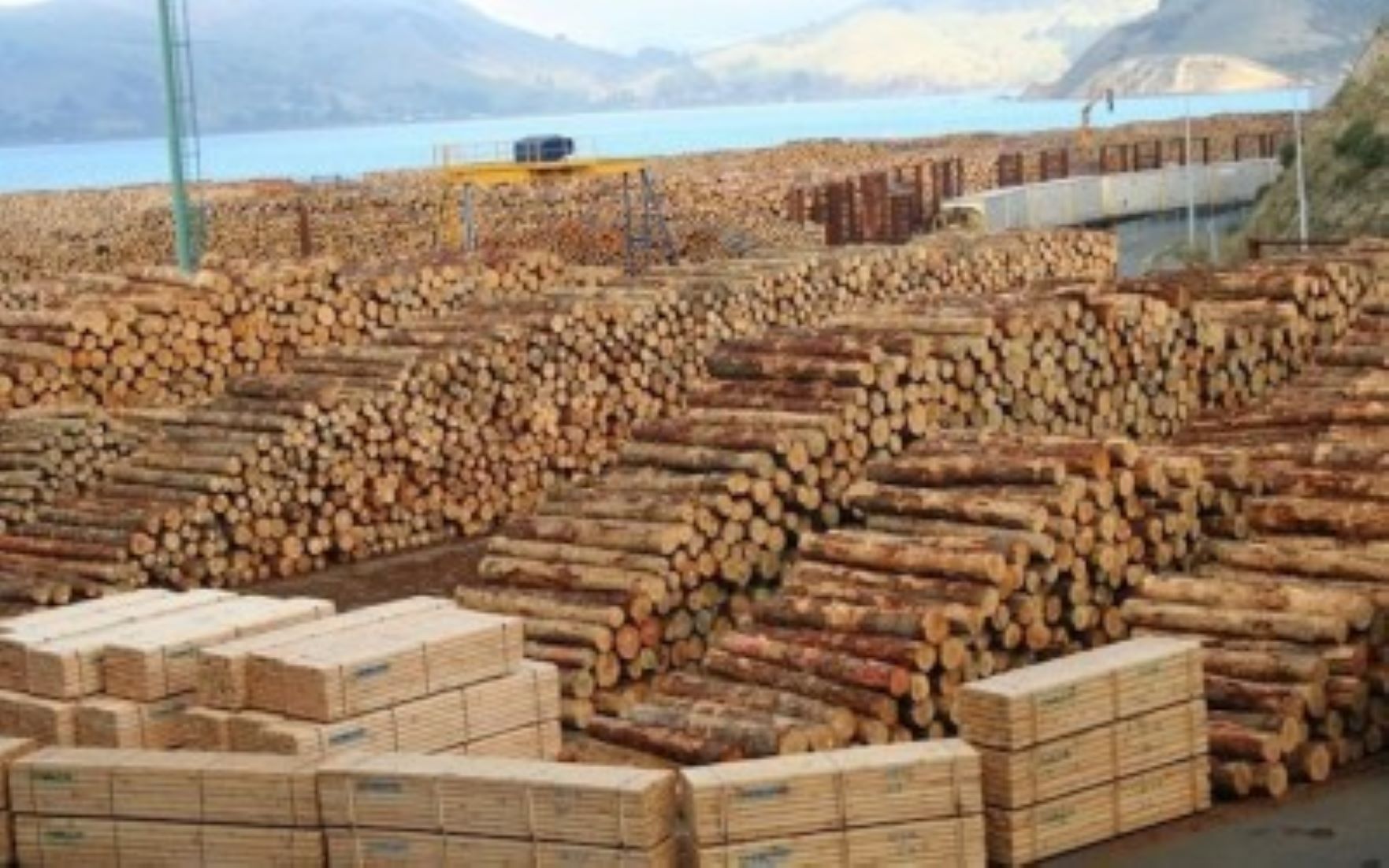 Azerbaijan Became One Of Top Ten Largest Importers Of Sawn Timber From Russia