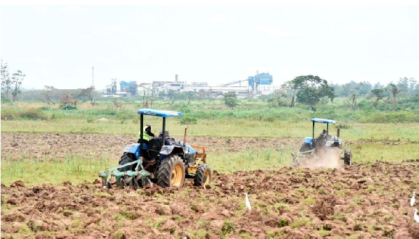 Uganda signs $400m deal for green hydrogen fertiliser plant