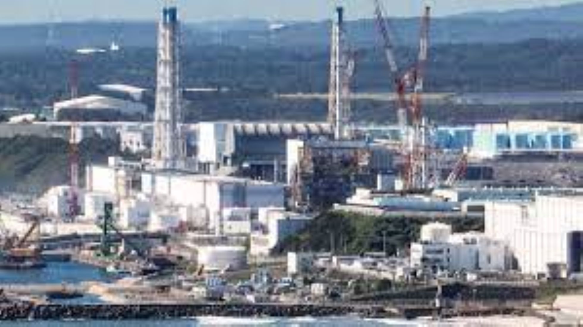 Operator Of Crippled Fukushima Plant Urged To Ensure Nuclear Safety