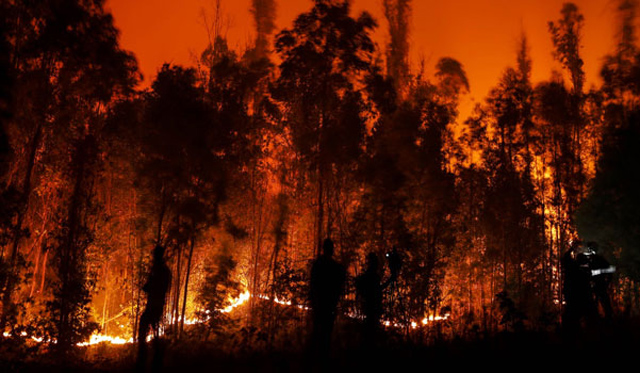 Chile: 10 feared dead in forest fires, says officials