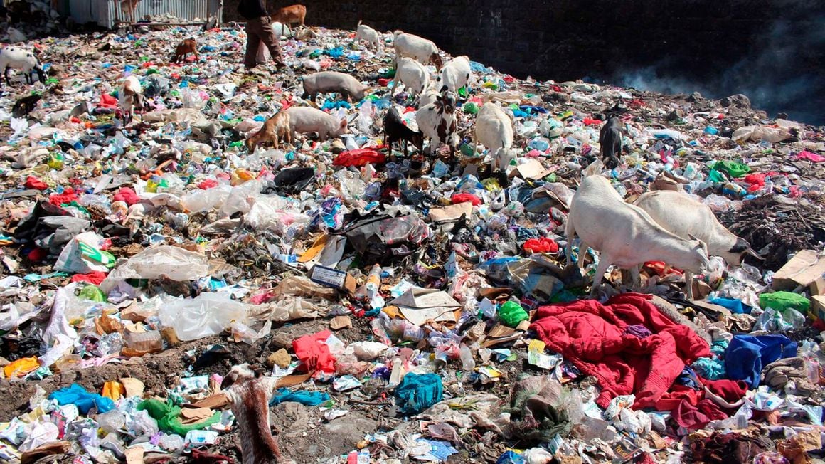 Somalia joins Kenya, Rwanda in banning single-use plastics