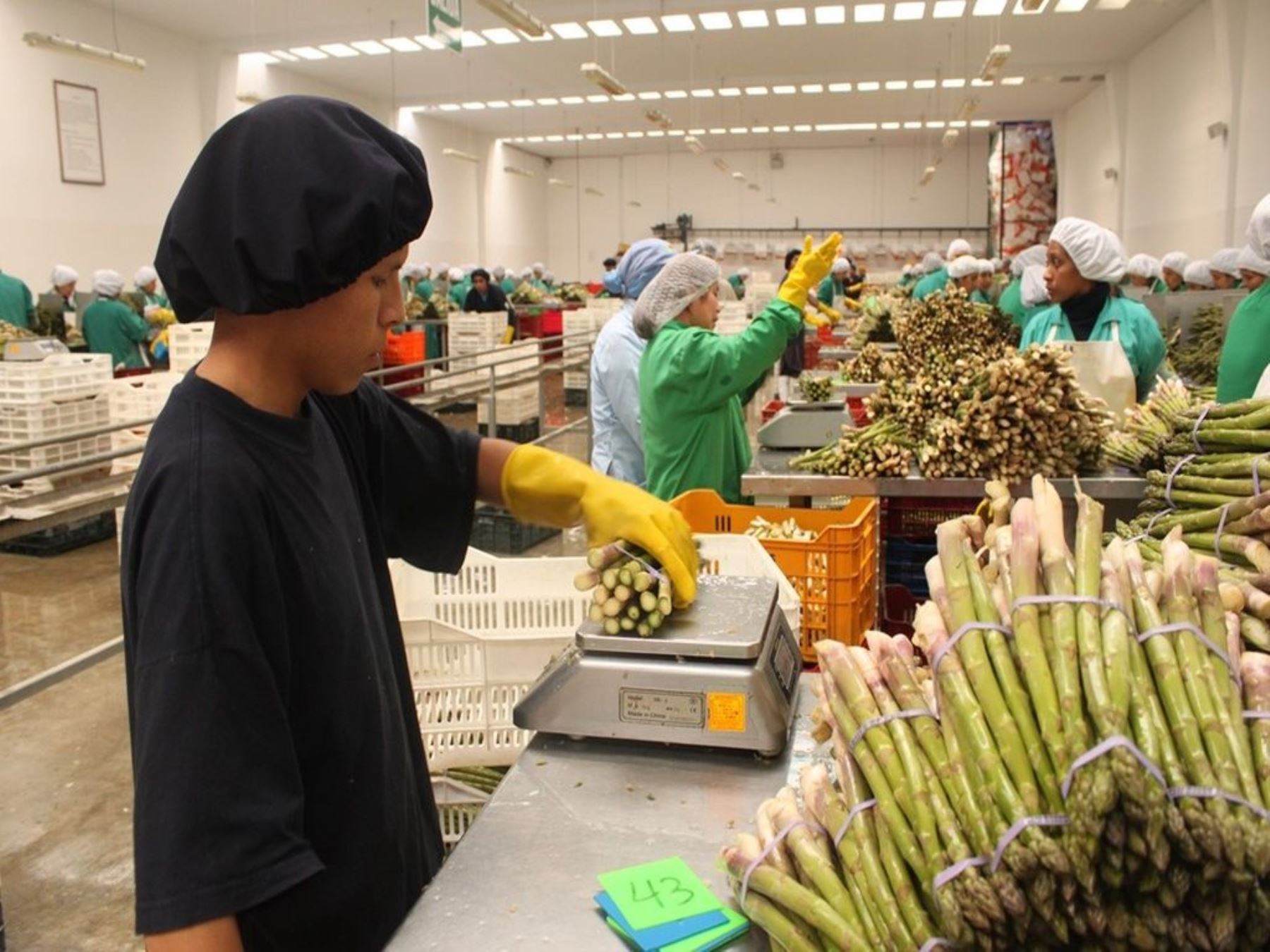 Central Bank: Peru’s non-traditional exports up 1.1% in 2023