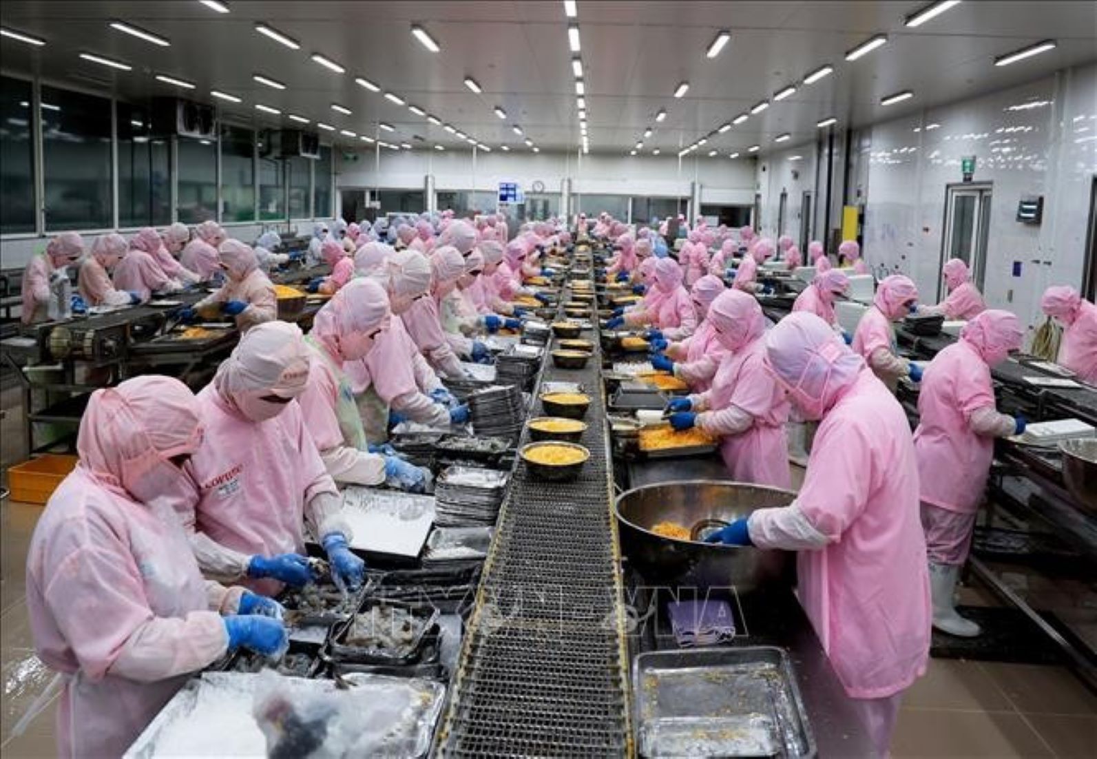 Vietnam’s Seafood Exports To Hit 9.5 Billion USD This Year