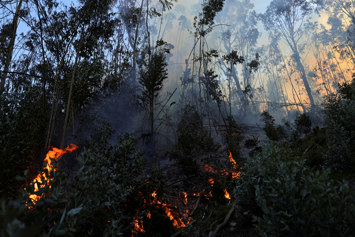 El Salvador: Fires increase by 25 percent in 2024